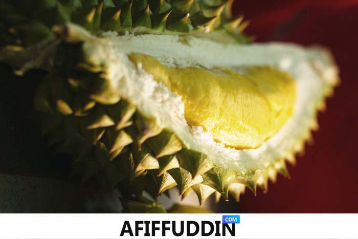 jenis durian di malaysia